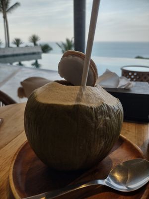 Young coconut 🥥 expensive at Halapua by Kapuhala in Koh Samui