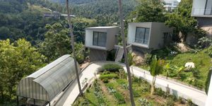 Garden at Halapua by Kapuhala in Koh Samui