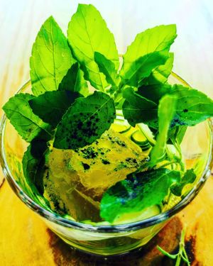 Limomcello at Halapua by Kapuhala in Koh Samui