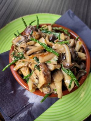 Amazing mushrooms at New Vegas in Haarlem