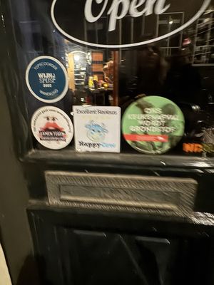   at New Vegas in Haarlem