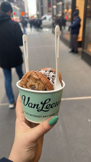   at Van Leeuwen Ice Cream - Rock Center in New York City