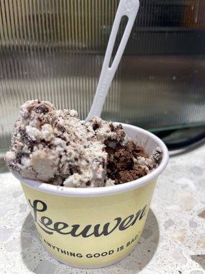  Vegan mint chip and vegan dark chocolate fudge brownie  at Van Leeuwen Ice Cream - Rock Center in New York City