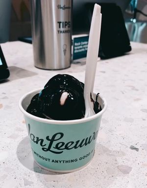   at Van Leeuwen Ice Cream - Rock Center in New York City
