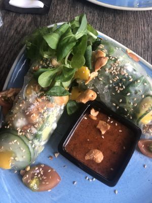 Vegan springrolls at Blend in Haarlem