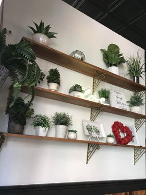   at Vegan Avenue in San Antonio