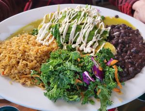 Enchiladas at Vegan Avenue in San Antonio