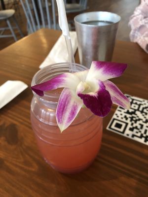  at Vegan Avenue in San Antonio