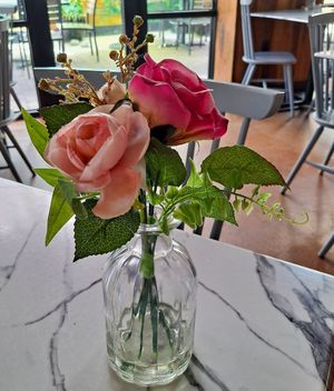  at Vegan Avenue in San Antonio