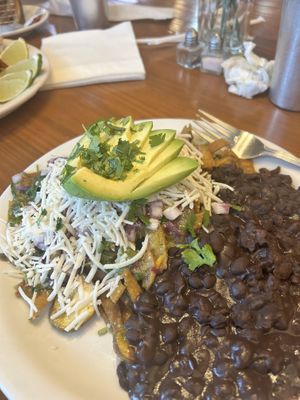 Enchilada plate   at Vegan Avenue in San Antonio