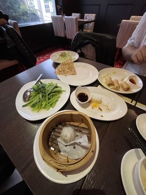 dim sum all vegan at Full Moon Garden in Amsterdam