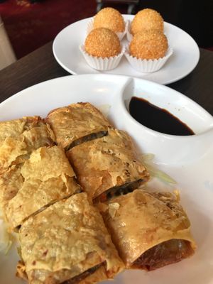 Beancurd sheet rolls + sesame sticky rice balls with sweet lotus seed paste - vegan at Full Moon Garden in Amsterdam