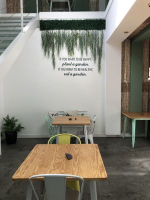 Downstairs  at Mundo Vegan - Vegan World in Funchal