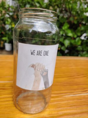 Cool Branding at Mundo Vegan - Vegan World in Funchal