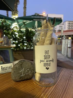 Nett at Mundo Vegan - Vegan World in Funchal