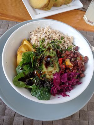 Bowl at Mundo Vegan - Vegan World in Funchal