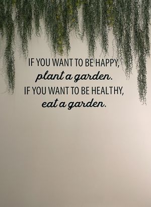 Interior  at Mundo Vegan - Vegan World in Funchal