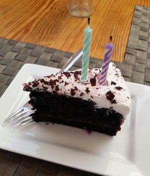 Chocolate Cake Gift at Mundo Vegan - Vegan World in Funchal