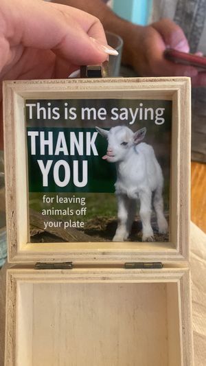   at Mundo Vegan - Vegan World in Funchal