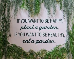  at Mundo Vegan - Vegan World in Funchal