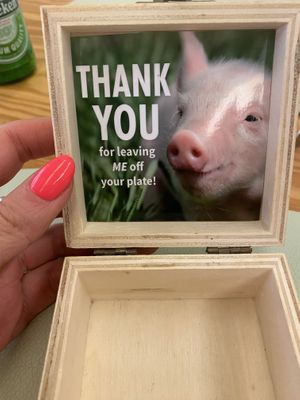 Cute box for receipt   at Mundo Vegan - Vegan World in Funchal