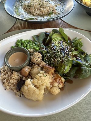 Addictive  at Mundo Vegan - Vegan World in Funchal