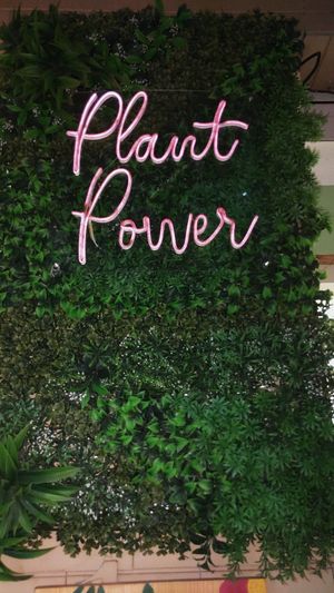  at Mundo Vegan - Vegan World in Funchal