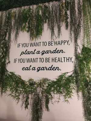  at Mundo Vegan - Vegan World in Funchal