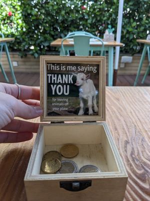  at Mundo Vegan - Vegan World in Funchal