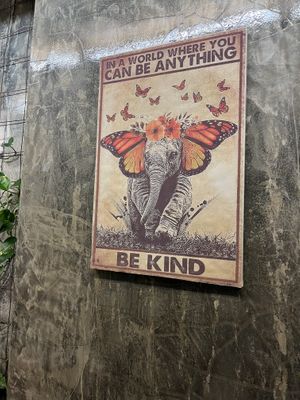   at Mundo Vegan - Vegan World in Funchal