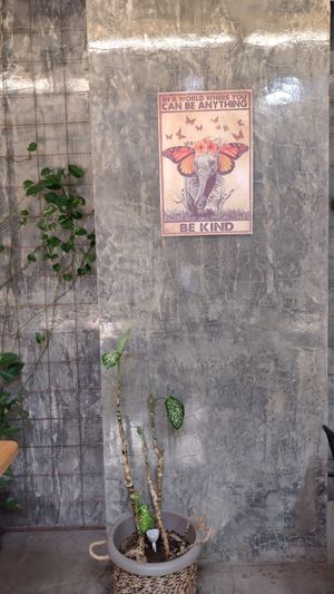 Downstairs at Mundo Vegan - Vegan World in Funchal