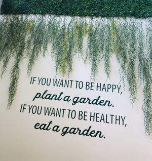 Motto at Mundo Vegan - Vegan World in Funchal