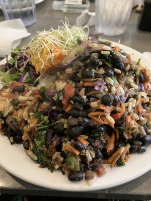 This is the tofu stir-fry, which I had on another, recent visit.  Delicious and a huge portion.   at The Manatee Cafe in St Augustine