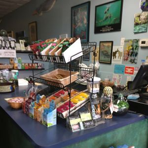 Manatee Cafe interior at The Manatee Cafe in St Augustine