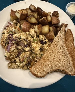   at The Manatee Cafe in St Augustine