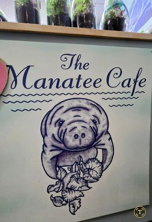  at The Manatee Cafe in St Augustine