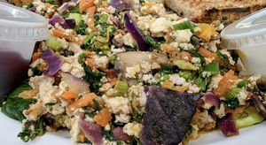  at The Manatee Cafe in St Augustine