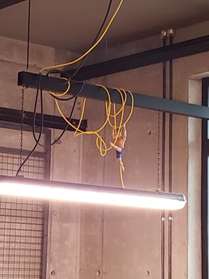   at Deig Bakery in Reykjavik