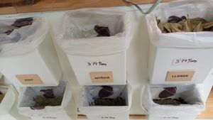 spices in bulk at BioBrots in Girona