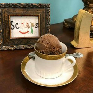 (Vegan) Chocolate banana ice cream at Sylwia's Ice Cream in Cape Coral
