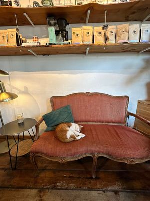  at Back to Black - Weteringstraat in Amsterdam