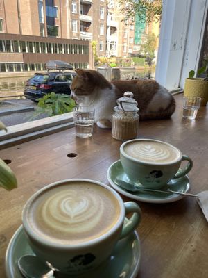   at Back to Black - Weteringstraat in Amsterdam