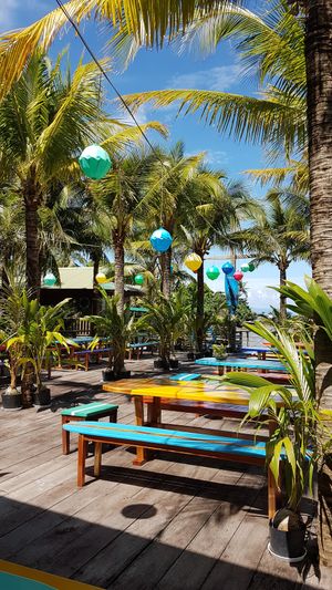 Rory's Beach Bar at Rory's Beach Bar in Phu Quoc