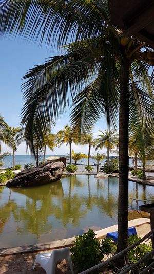 Swimming pool at Rory's Beach Bar in Phu Quoc