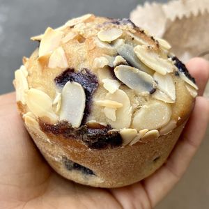 blueberry muffin - lovely   at Vegamo Deli in Mexico City