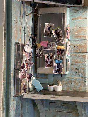   at Monchito in Barcelona