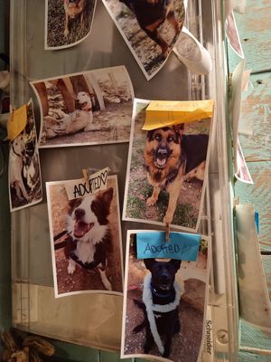  at Monchito in Barcelona