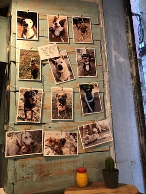 Interior  at Monchito in Barcelona