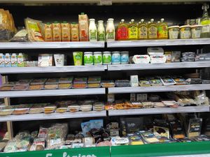 Cold at Bioba in Salamanca