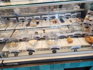  at Rebel Cheese in Austin